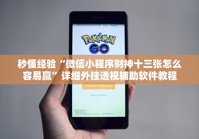 秒懂经验“微信小程序财神十三张怎么容易赢	”详细外挂透视辅助软件教程