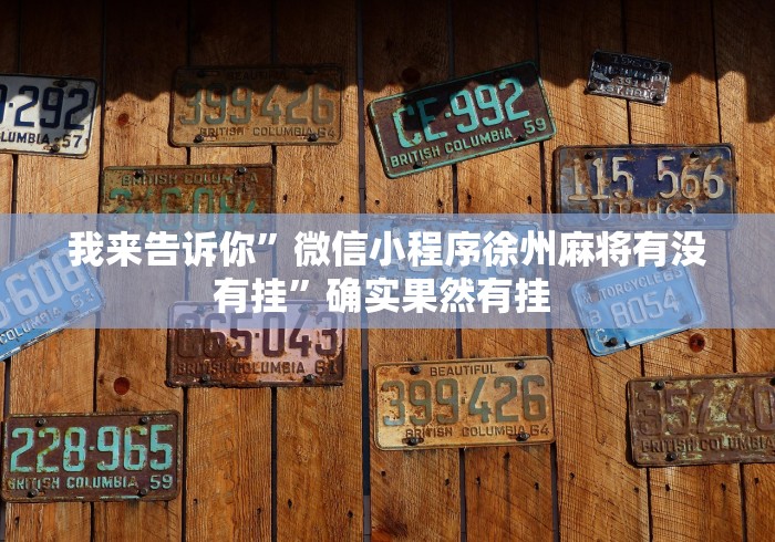 我来告诉你”微信小程序徐州麻将有没有挂	”确实果然有挂 