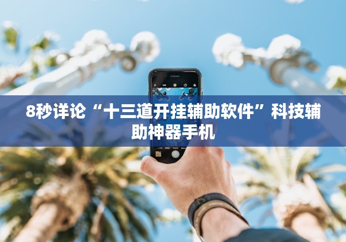 8秒详论“十三道开挂辅助软件	”科技辅助神器手机