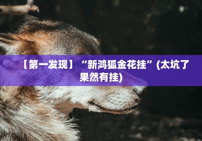 【第一发现】“新鸿狐金花挂”(太坑了果然有挂)