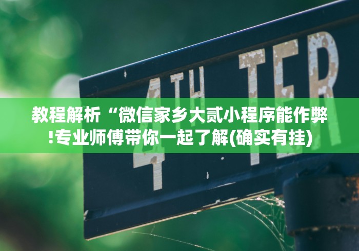 教程解析“微信家乡大贰小程序能作弊!专业师傅带你一起了解(确实有挂)