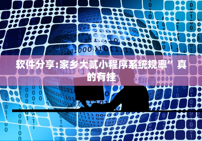 软件分享:家乡大贰小程序系统规率	”真的有挂