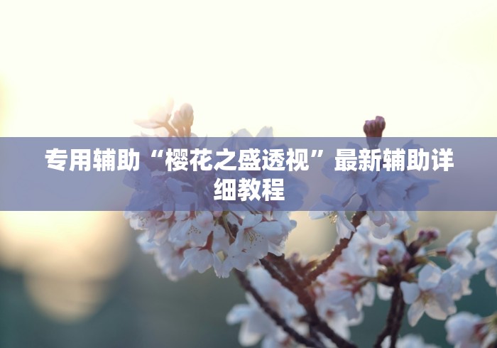 专用辅助“樱花之盛透视”最新辅助详细教程