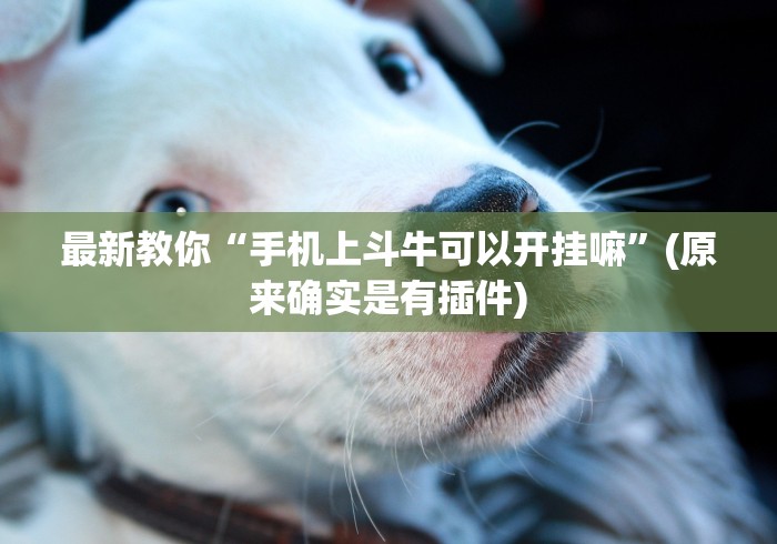 最新教你“手机上斗牛可以开挂嘛”(原来确实是有插件)
