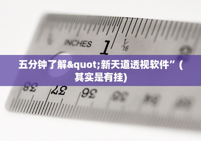 五分钟了解"新天道透视软件	”(其实是有挂)