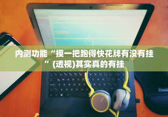 内测功能“摸一把跑得快花牌有没有挂”(透视)其实真的有挂