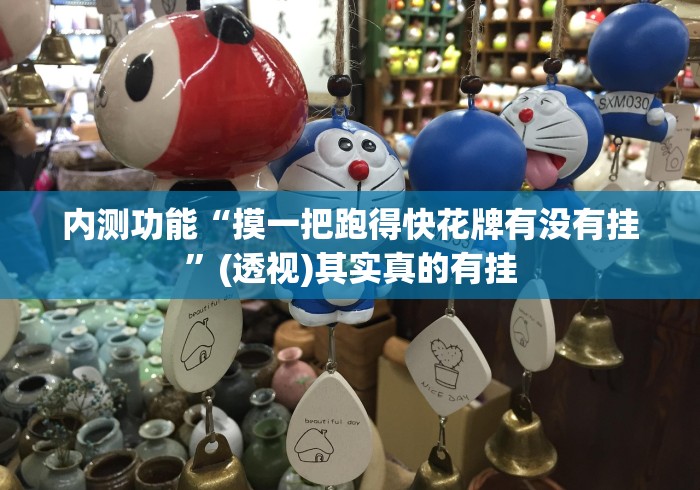 内测功能“摸一把跑得快花牌有没有挂”(透视)其实真的有挂