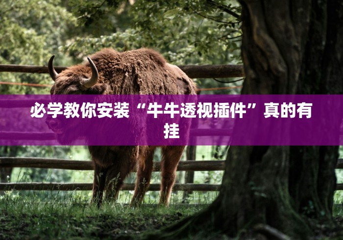 必学教你安装“牛牛透视插件”真的有挂