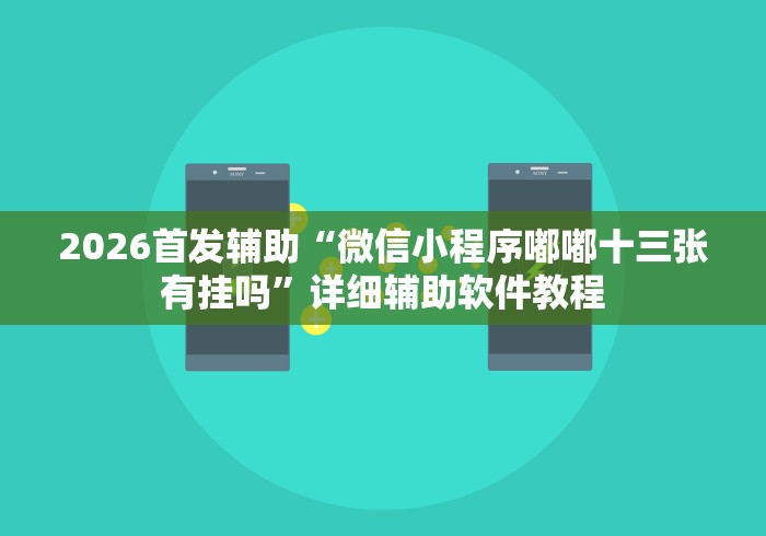 2026首发辅助“微信小程序嘟嘟十三张有挂吗”详细辅助软件教程