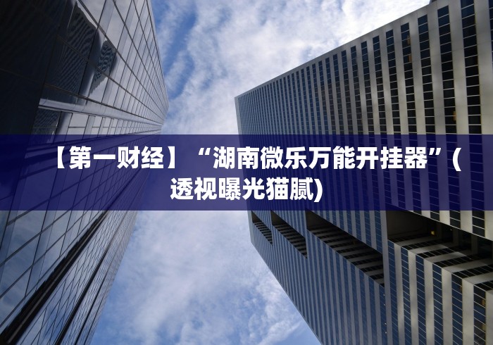 【第一财经】“湖南微乐万能开挂器	”(透视曝光猫腻)