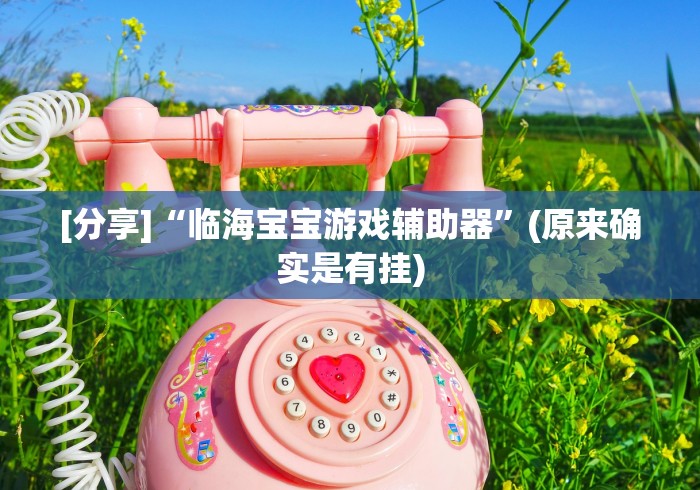 [分享]“临海宝宝游戏辅助器	”(原来确实是有挂)