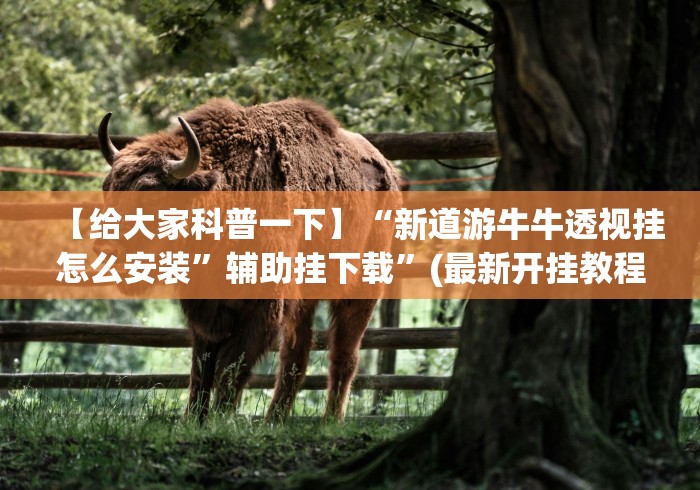 【给大家科普一下】“新道游牛牛透视挂怎么安装”辅助挂下载	”(最新开挂教程)